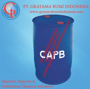 Cocoamidopropyl Betaine (CAPB)        