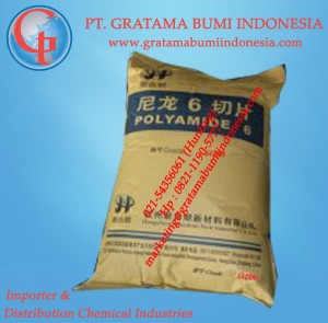 Polyamide 6 (PA 6)         
